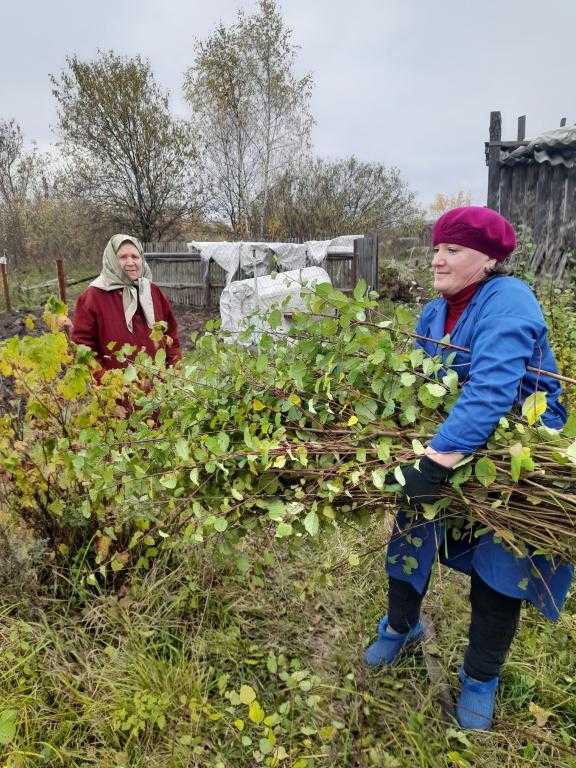 Опустел наш дивный сад