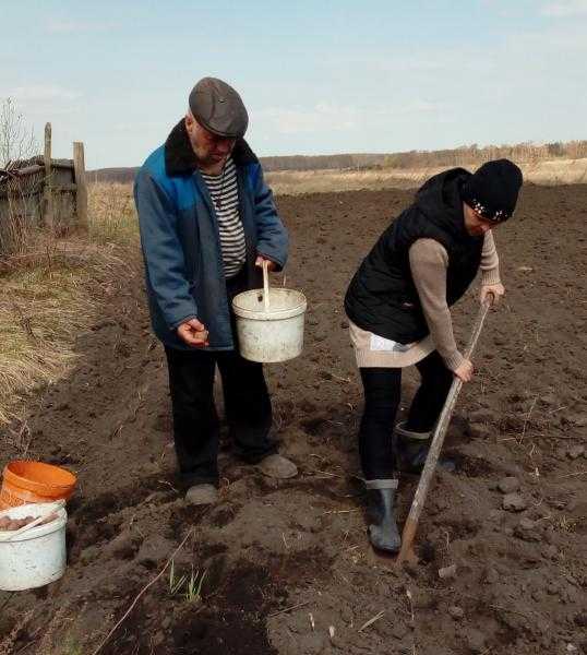 Все на огород!