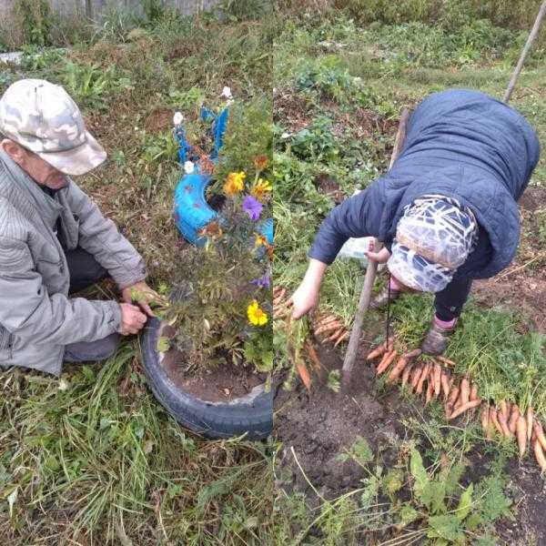 Закрываем огородный сезон!